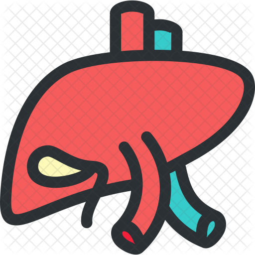 Healthy Liver Icon